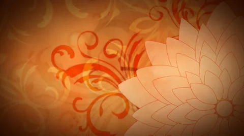 Golden Fall Flourish 1080  background Stock Footage 50753405