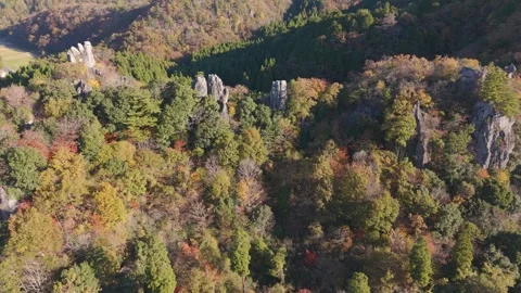 Golden Fall Foliage Covering Mountain Slopes – Aerial View Stock Footage 336964599