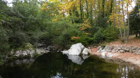 Golden fall forest reflected on quiet water Stock Footage 321945466