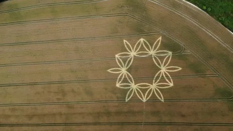 Golden Farmland Geometric Flower Pattern Crop Circle Near Warminster, Stock Footage 246728530