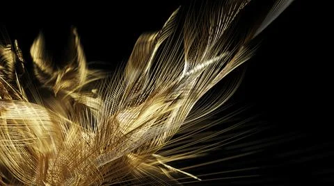 Golden Feather Background Stock Illustration