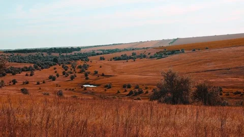 Golden Fields and Rolling Hills Serene Landscape in Warm Light Stock Footage 302667665