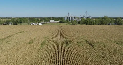 Golden Fields Of Hassard Elevator Agricultural Service In Monroe City Stock Footage 325690007