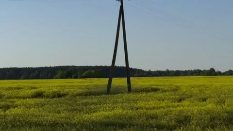 Golden Fields in Spring – A Scenic Drive. Video stock 300198946