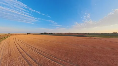 Golden fields stretch beneath a vast, clear sky Vidéo 342554708