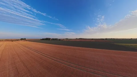Golden fields stretch beneath a vast blue sky Vidéo 342555793