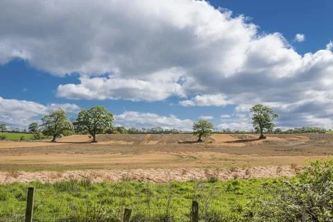 Golden fields stretch beneath a vast blue sky Foto stock