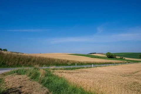 Golden fields under clear sky Stock Photos