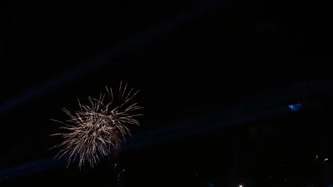 Golden Firework Cascade With Long Trails Against Night Sky Stock Footage 343625111