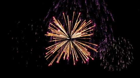 Golden Firework Explosion on Black Background, Bright Pyrotechnic Burst Motion G Stock Footage 336662284