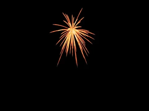 Golden Firework Explosion Stock Footage 73617944