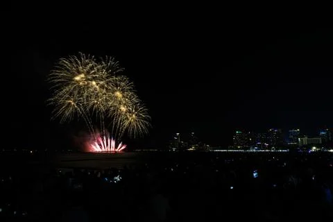 Golden Fireworks Display Exploding Over Coastal Cityscape Night Sky Landsca.. 库存照片
