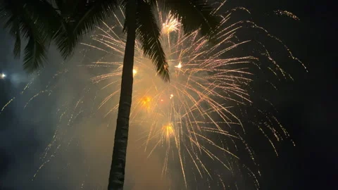 Golden fireworks explode in the night sky behind the silhouette of a tall palm Stock Footage 304749233