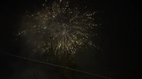 Golden Fireworks Exploding Above Bare Tree Silhouette at Night Video stock 332879701