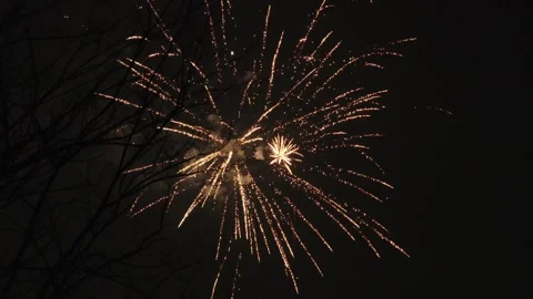 Golden Fireworks Exploding Behind Silhouetted Tree Branches at Night Stock-Footage 337414930