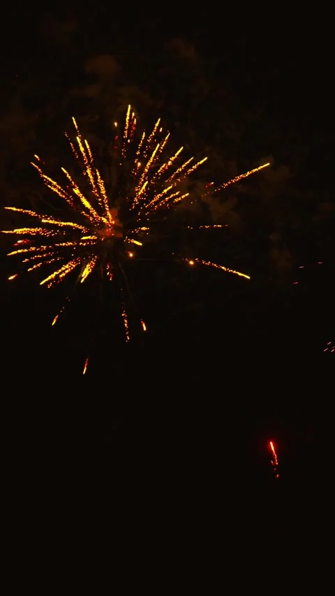 Golden fireworks exploding in dark night sky 스톡 동영상 343160175