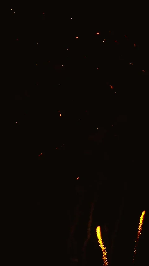 Golden fireworks exploding in the dark night sky 스톡 동영상 343160220