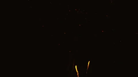 Golden fireworks exploding in the dark night sky 스톡 동영상 343160346