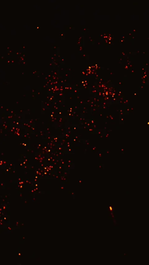 Golden fireworks exploding in the night sky 스톡 동영상 343160163