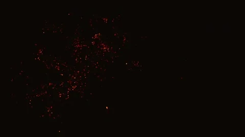 Golden fireworks exploding in the night sky Video stock 343160273