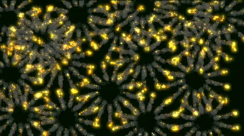 Golden fireworks Stock Footage 795197