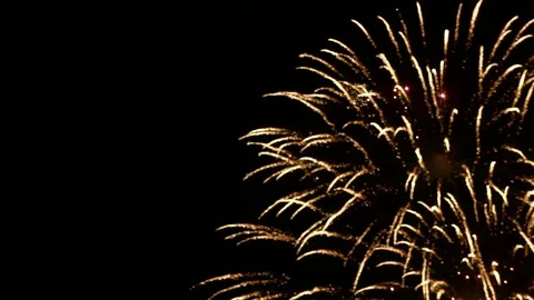 Golden fireworks Stock Footage 79025433