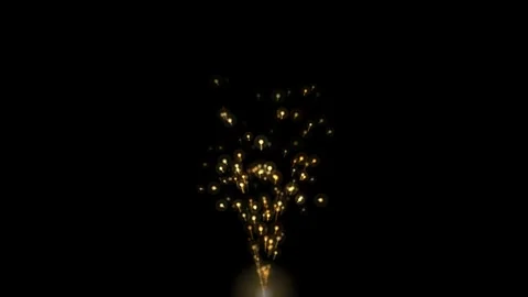 Golden Fireworks Fountain Loop Stock Footage 341161397