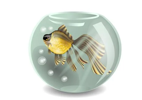 Golden fish Stock Illustration