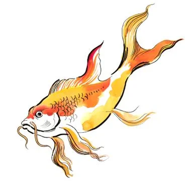 Golden fish Illustrazione stock