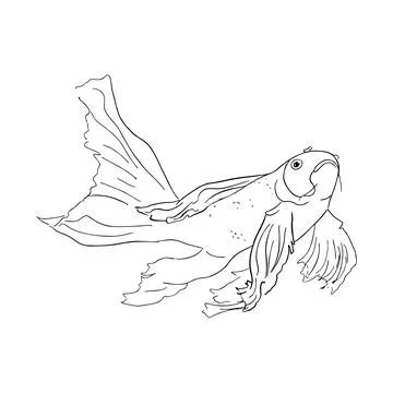 Golden fish Stock Illustration