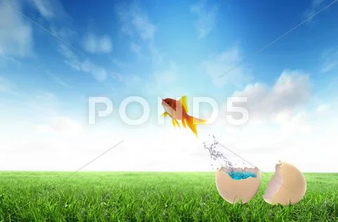 Golden fish jump out side the egg Stock Illustration