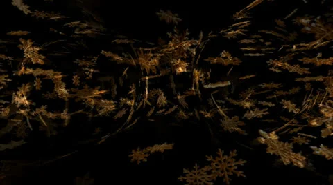 Golden Flakes Motion Mapping 動画素材 24719659
