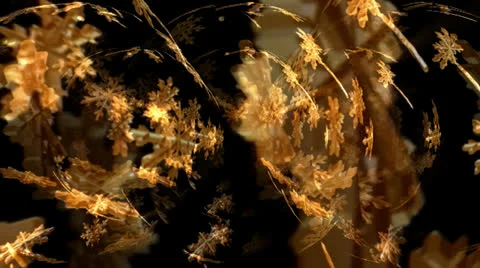 Golden Flakes Motion Mapping 動画素材 24719747