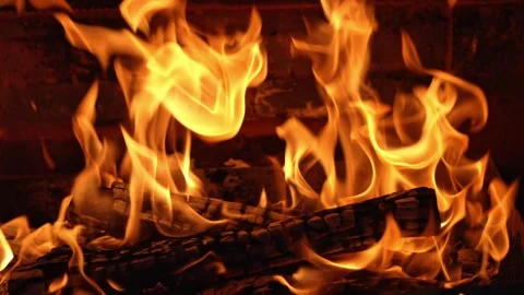 Golden Flames Dancing on Charred Logs Stock Footage 344877597