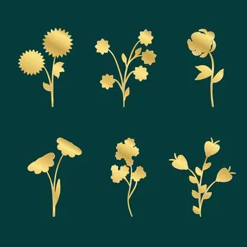 Golden floral elements collection on a dark teal background Stock Illustration