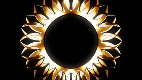 Golden Flower Stock Footage 221289119