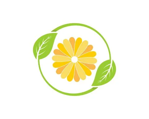 Golden flower inside the circular leaf Stock Illustration