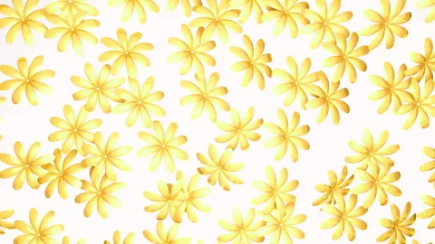 Golden flowers on a white background Stock Footage 302352353