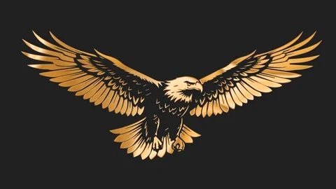 Golden Flying Eagle Spread Wings Bird Dark Background Seamless Loop Video Stock Footage 340501038