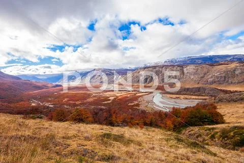 Golden forest in Patagonia Stock Photos