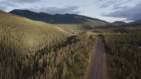 Golden Forest Road Beneath Alberta Mountains Stock Footage 346649812
