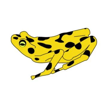 Golden frog Stock Illustration