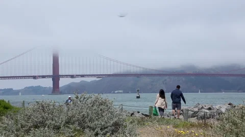 Golden Gate Bridge Stock Footage 248788374