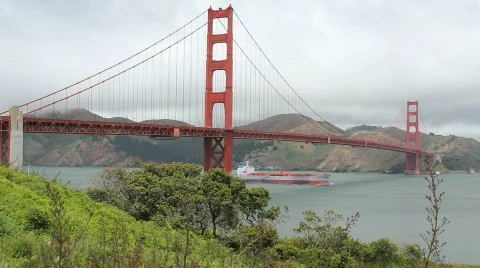Golden Gate Bridge - Freighter Stock Footage 733256