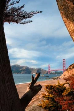 Golden gate bridge Stock Photos