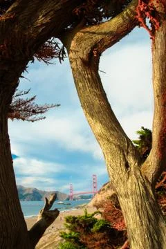 Golden gate bridge Stock Photos