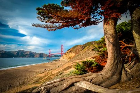 Golden gate bridge Stock Photos