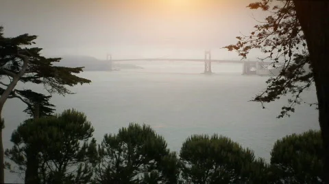 Golden Gate Bridge with Plants Stock Footage 724922