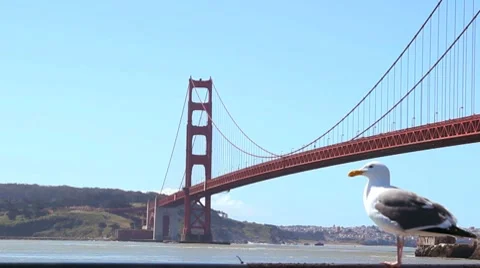 The Golden Gate by day Stock Footage 8548903