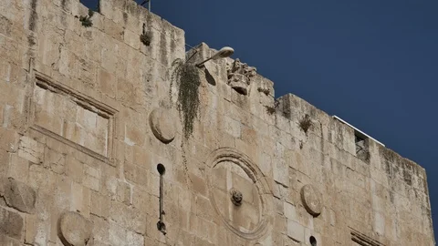 THE GOLDEN GATE JERUSALEM Stock Footage 120359753